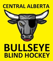 Blind Hockey